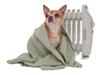 Photo of Cute little dog wrapped in blanket near electric heater on white background