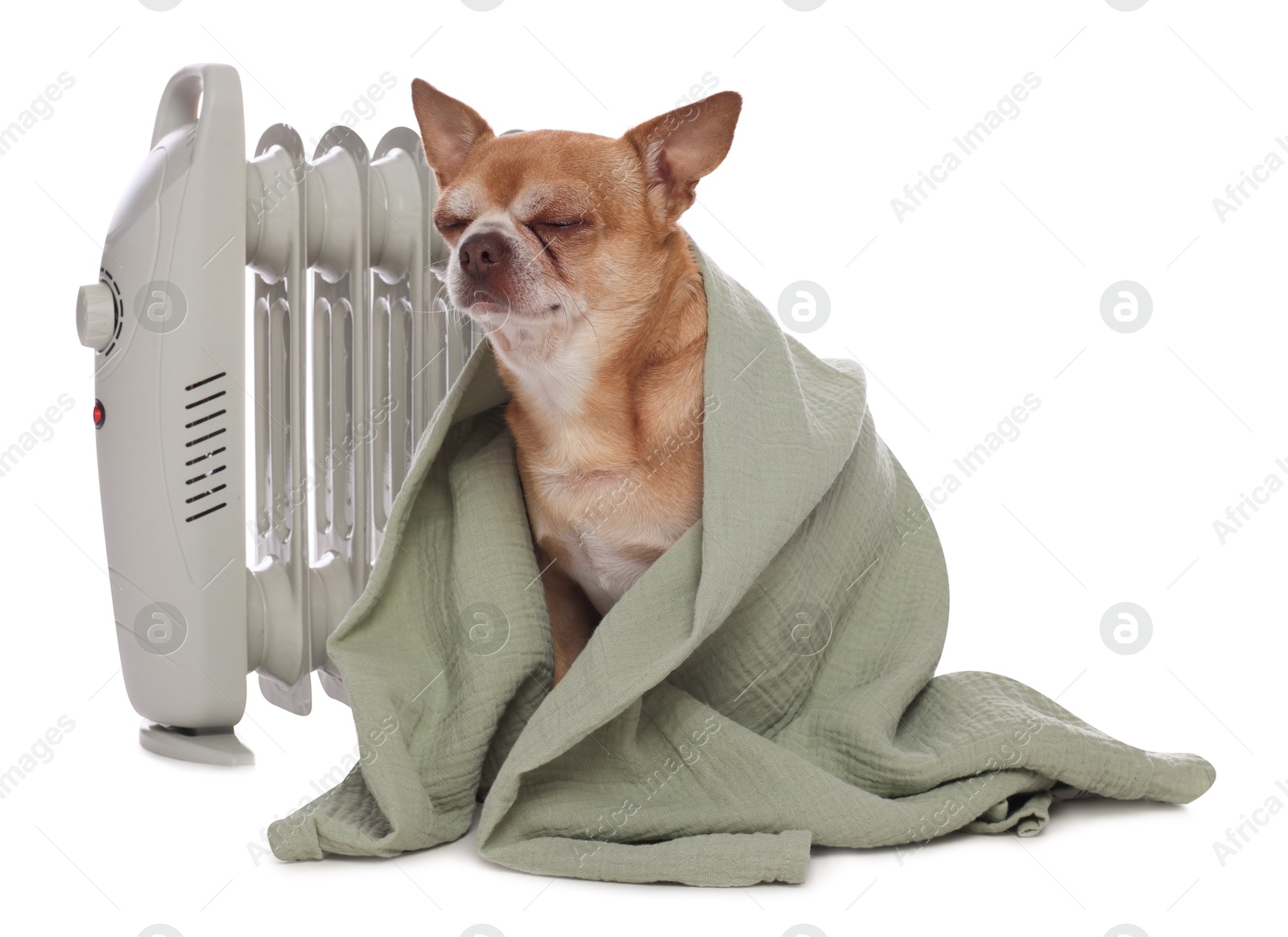 Photo of Cute little dog wrapped in blanket near electric heater on white background