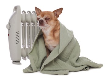 Photo of Cute little dog wrapped in blanket near electric heater on white background