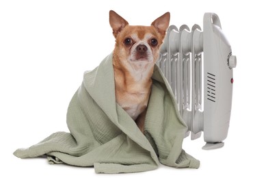 Photo of Cute little dog wrapped in blanket near electric heater on white background