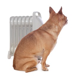 Photo of Cute little dog near electric heater on white background