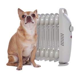 Photo of Cute little dog near electric heater on white background