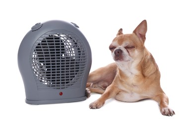 Photo of Cute little dog near electric fan heater on white background