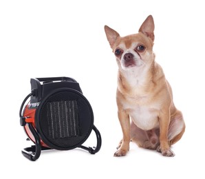 Photo of Cute little dog near electric fan heater on white background