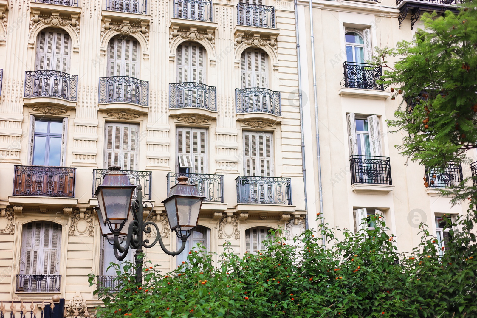 Photo of Beautiful building with windows and trees in city, low angle view
