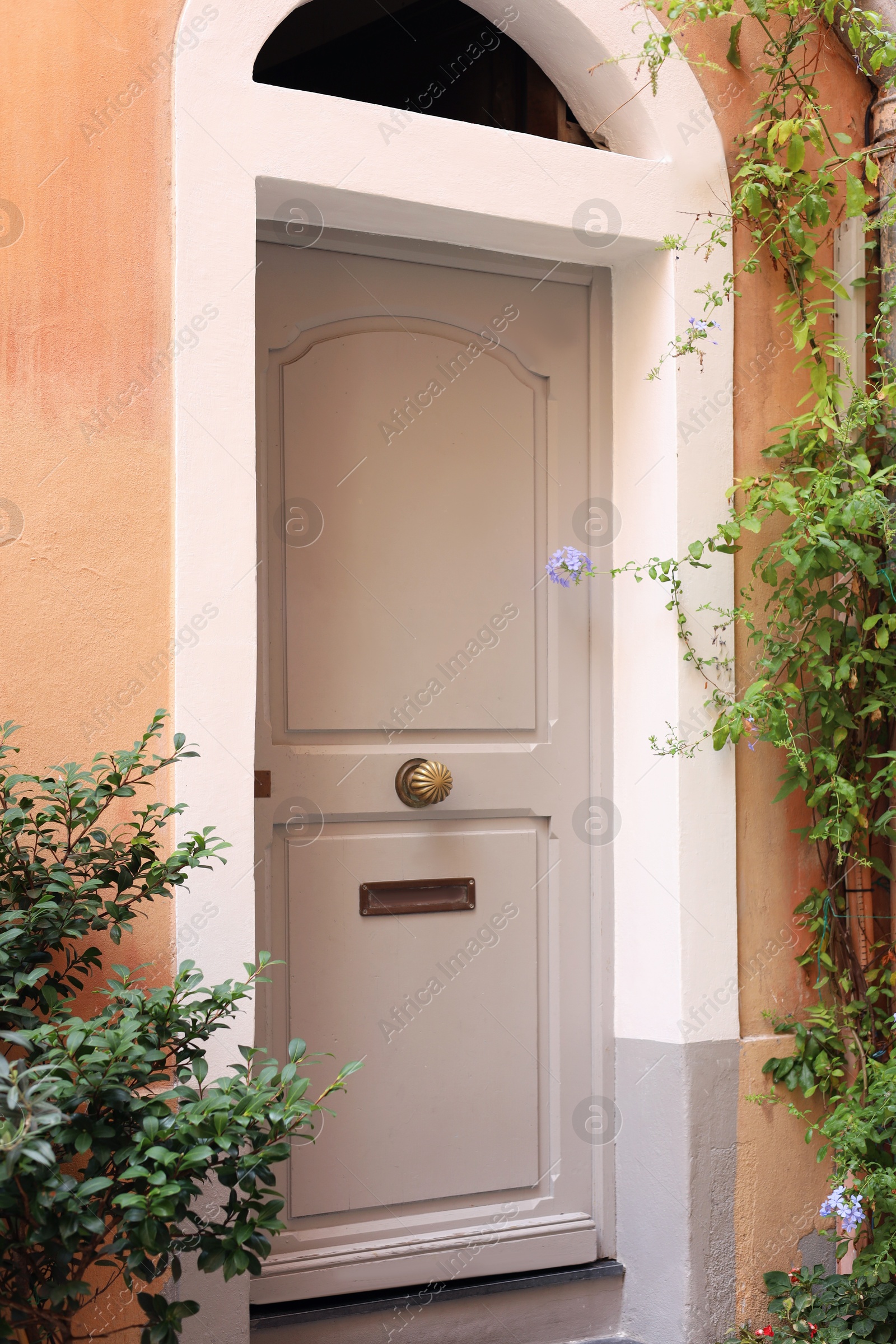Photo of Entrance of residential house with beige door and beautiful green plants