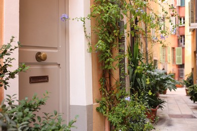 Photo of Entrance of residential house with beige door and beautiful green plants, closeup