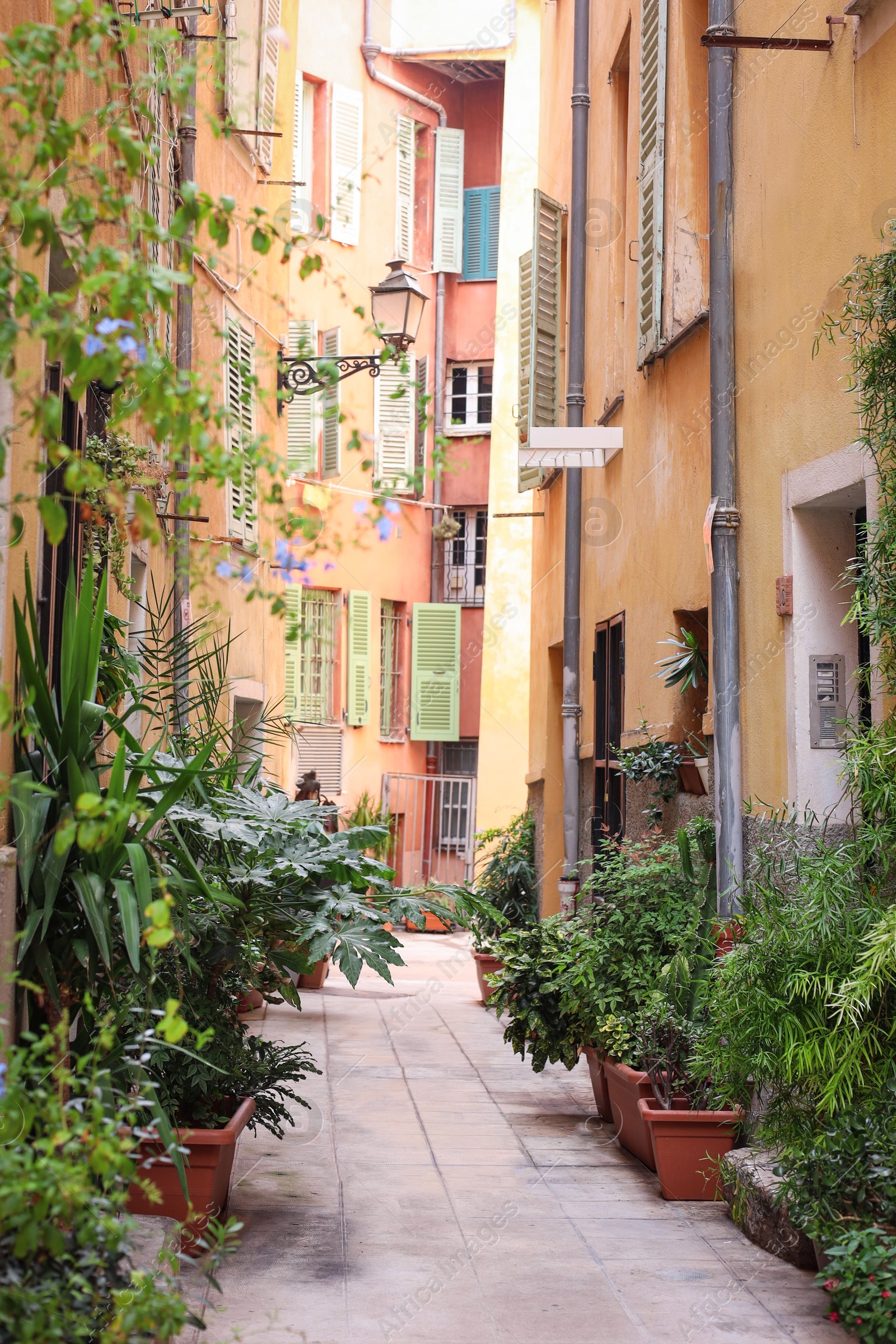 Photo of View of city street with bright buildings and potted plants