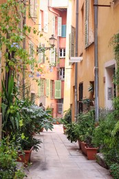 Photo of View of city street with bright buildings and potted plants