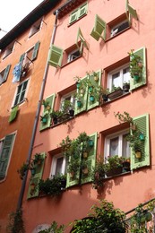 Photo of Facade of building with beautiful potted plants, low angle view