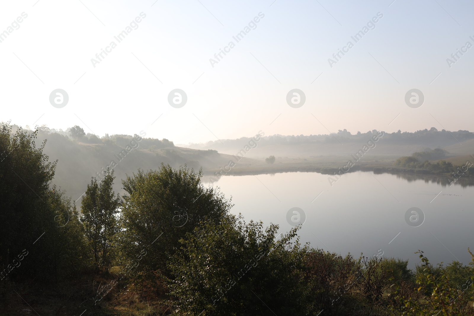 Photo of Picturesque view of river bank with different plants in morning