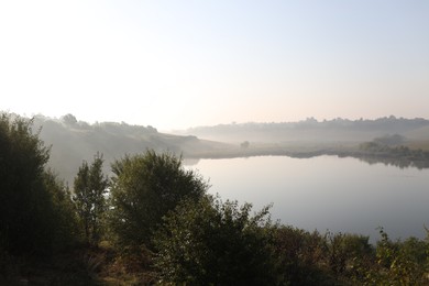 Photo of Picturesque view of river bank with different plants in morning