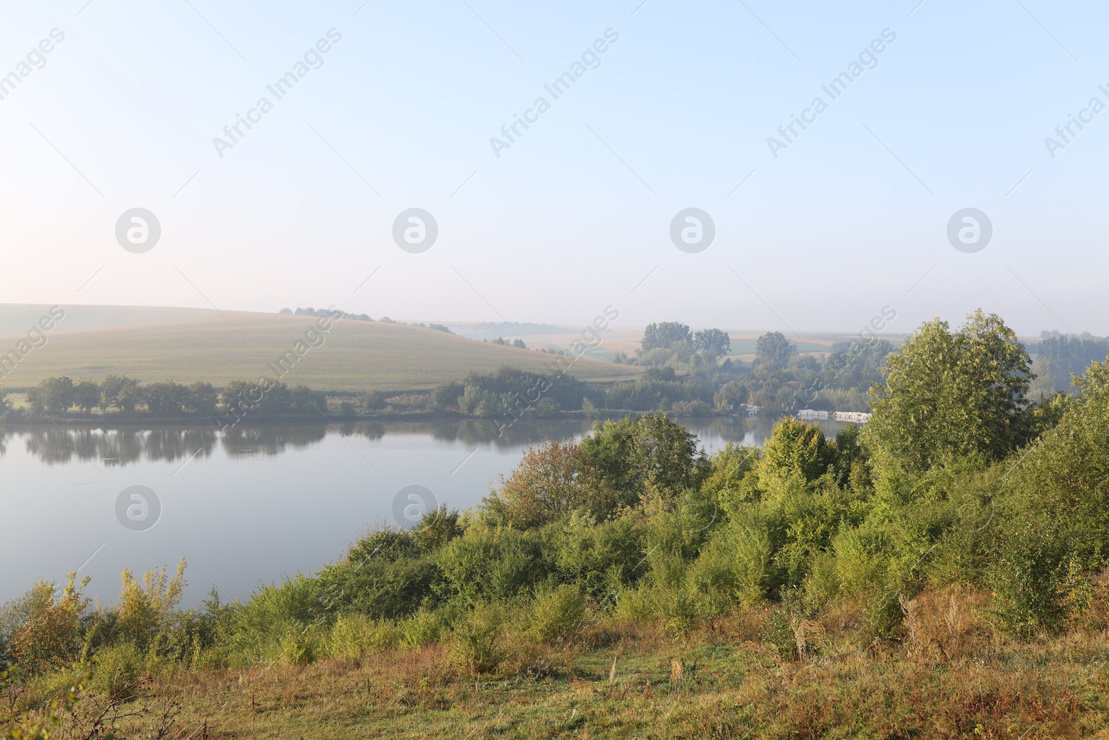 Photo of Picturesque view of river bank with different plants in morning