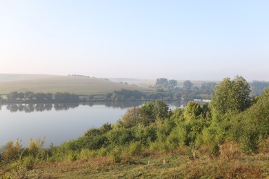 Photo of Picturesque view of river bank with different plants in morning