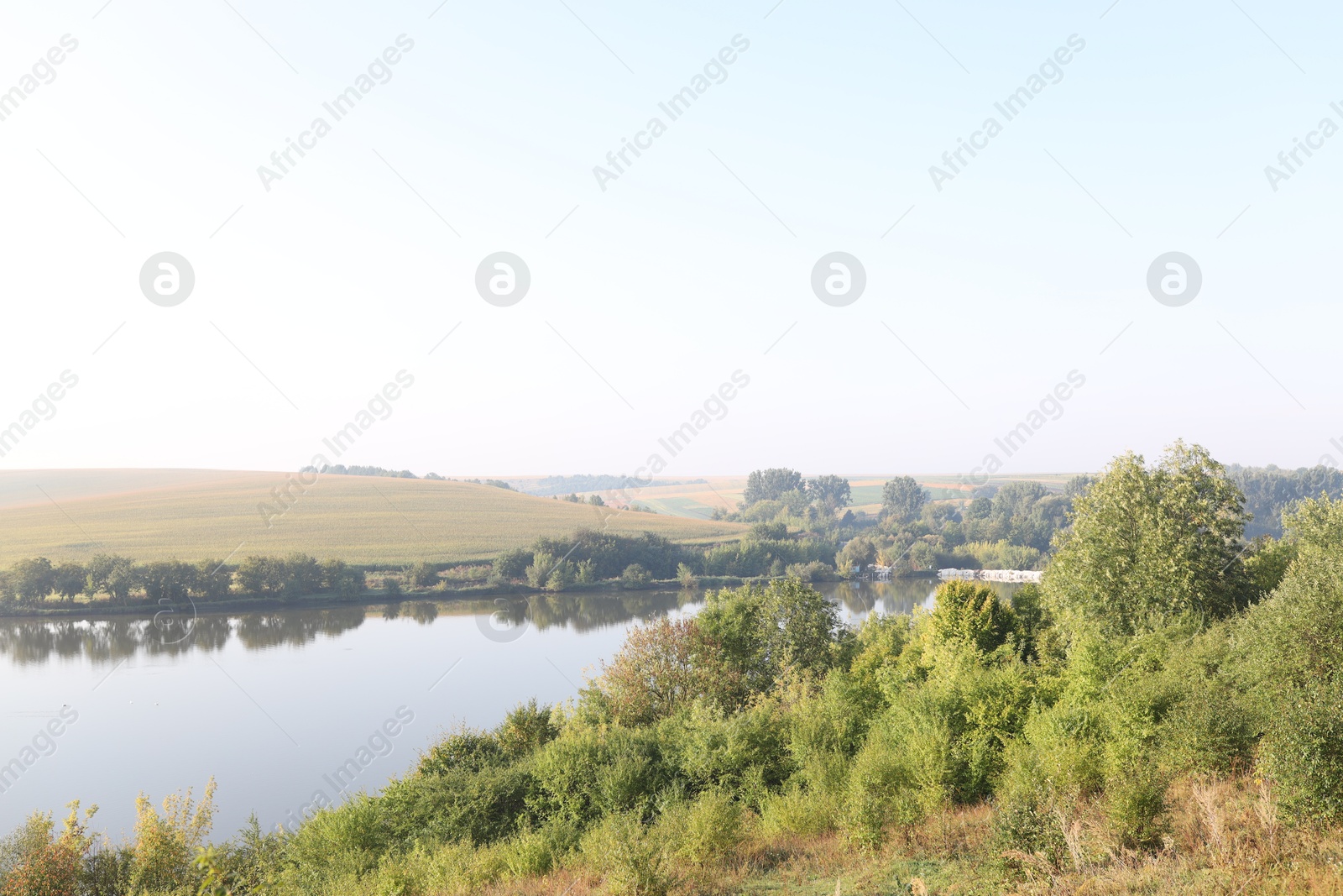 Photo of Picturesque view of river bank with different plants