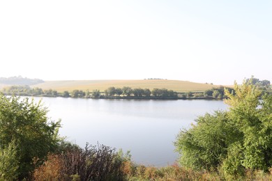 Photo of Picturesque view of river bank with different plants