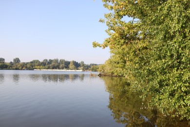 Photo of Picturesque view of river bank with different plants