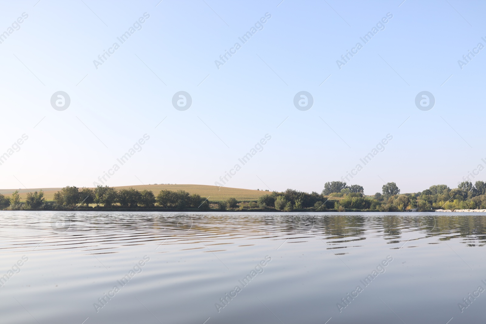 Photo of Picturesque view of river and different plants outdoors