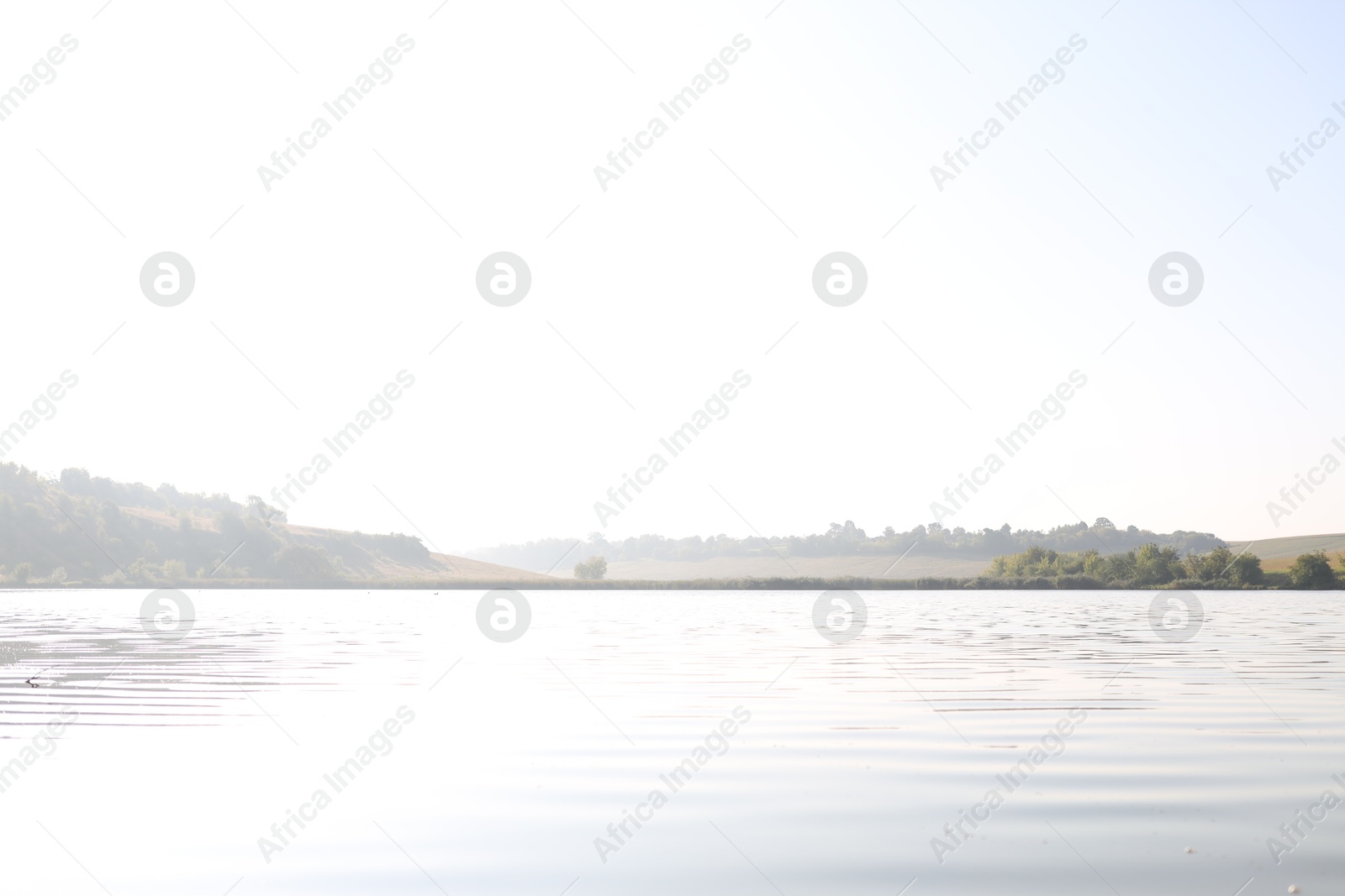 Photo of Picturesque view of river and different plants outdoors