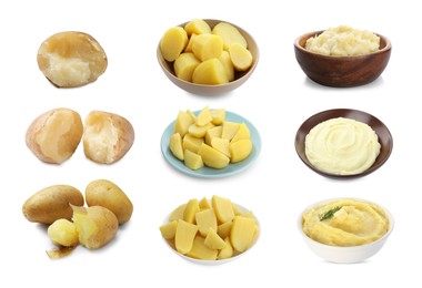 Image of Bland food taste. Baked, boiled and mashed potatoes isolated on white, set