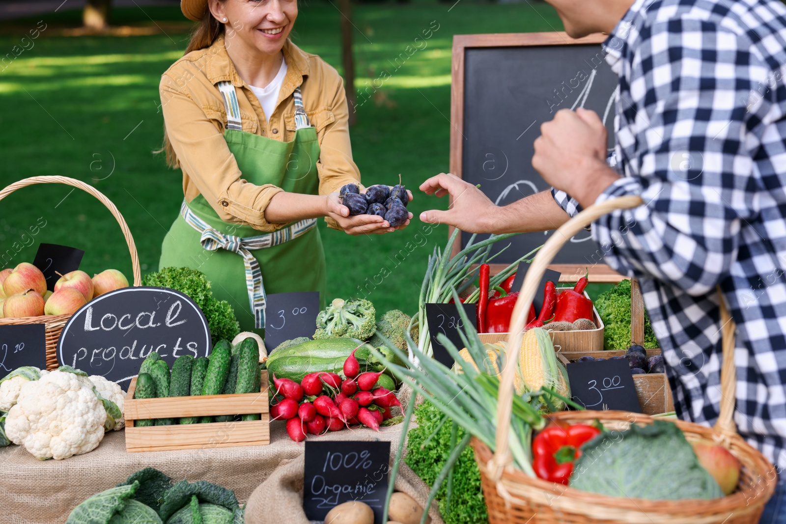 Photo of Man choosing fresh plums from stall with vegetables at farmer's market, closeup