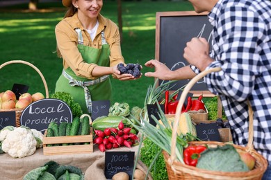 Photo of Man choosing fresh plums from stall with vegetables at farmer's market, closeup