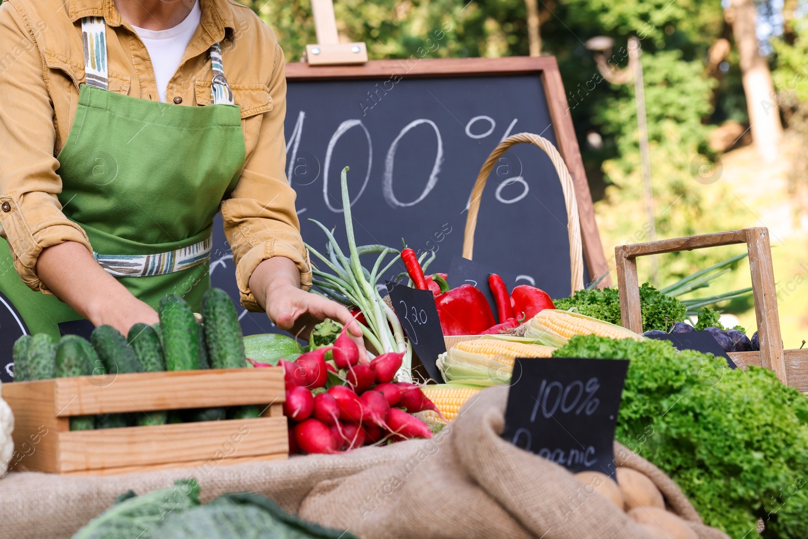 Photo of Farmer near stall with different fresh vegetables at market, closeup