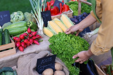 Photo of Farmer near stall different fresh vegetables at market, closeup