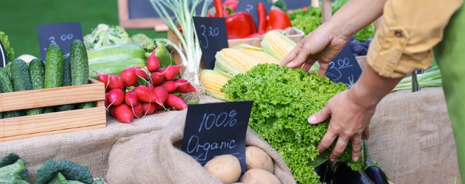 Photo of Farmer near stall different fresh vegetables at market, closeup