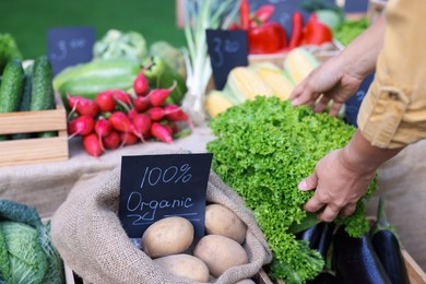 Photo of Farmer near stall different fresh vegetables at market, closeup