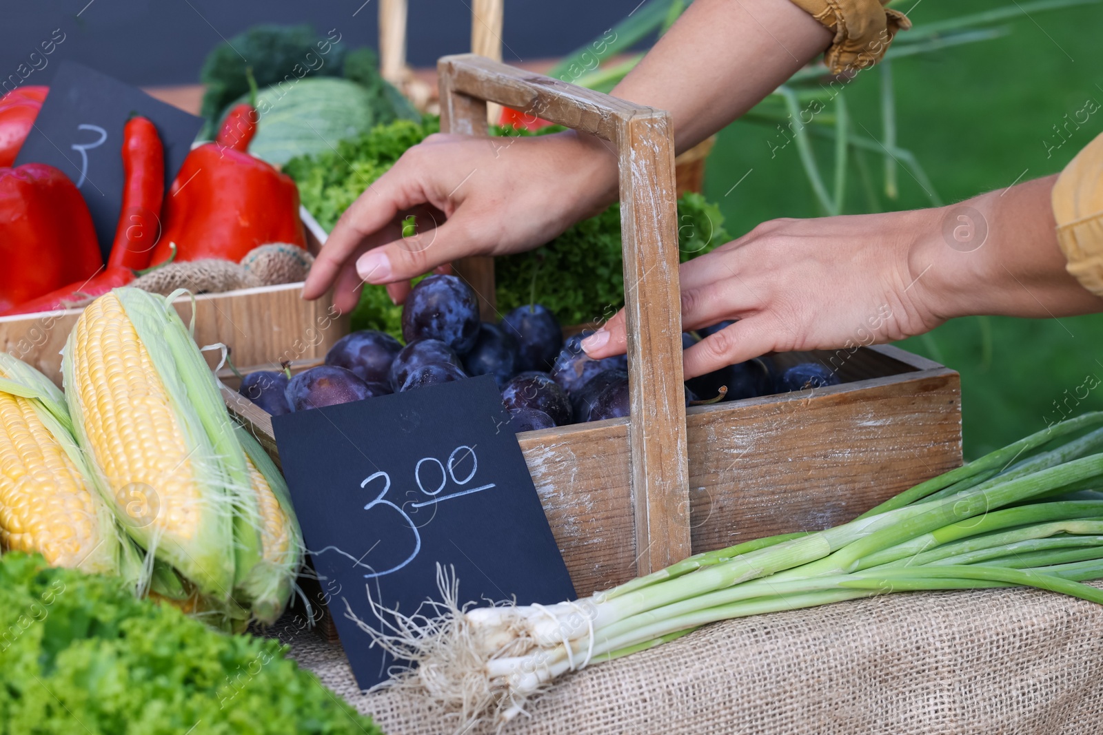 Photo of Farmer near stall with plums and different fresh vegetables at market, closeup