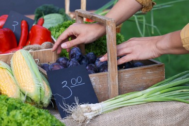Photo of Farmer near stall with plums and different fresh vegetables at market, closeup