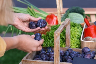 Photo of Farmer near stall with plums and different fresh vegetables at market, closeup