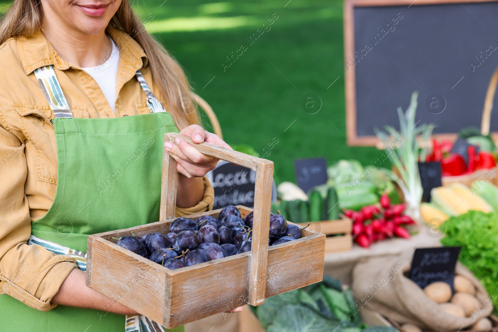 Photo of Farmer with basket of plums near stall with different fresh vegetables at market, closeup