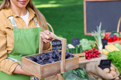 Photo of Farmer with basket of plums near stall with different fresh vegetables at market, closeup