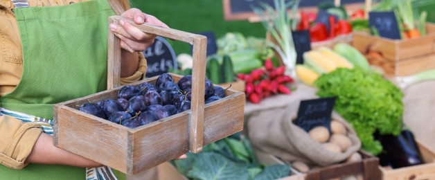 Photo of Farmer with basket of plums near stall with different fresh vegetables at market, closeup