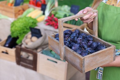 Photo of Farmer with basket of plums near stall with different fresh vegetables at market, closeup