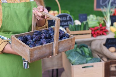 Photo of Farmer with basket of plums near stall with different fresh vegetables at market, closeup