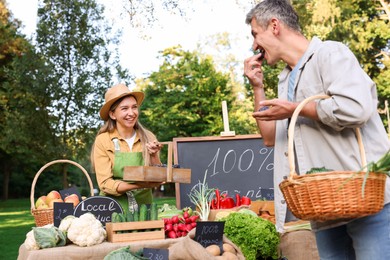 Photo of Man choosing fresh vegetables and plums from stall at farmer's market