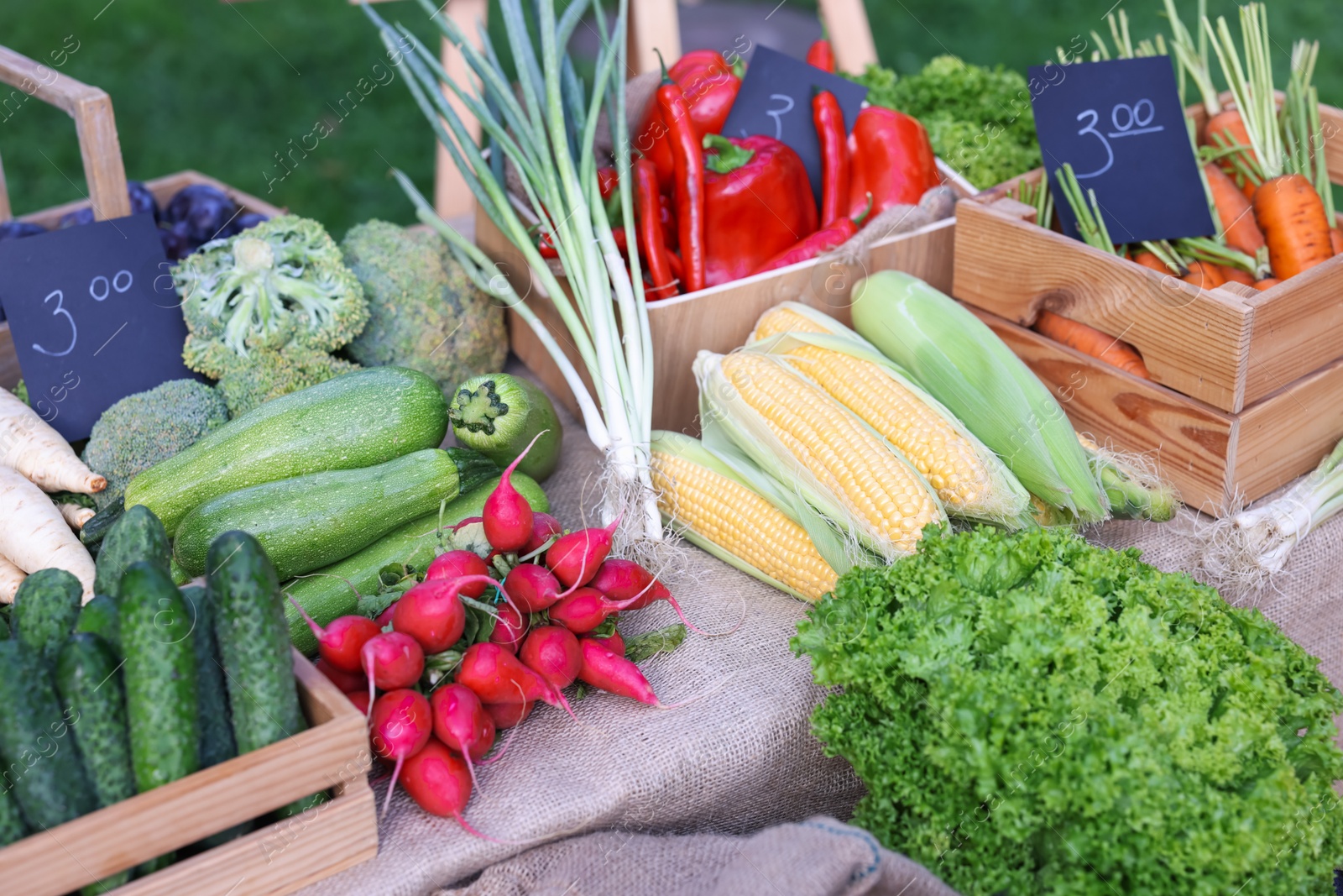 Photo of Many different vegetables on stall at farmer's market, closeup