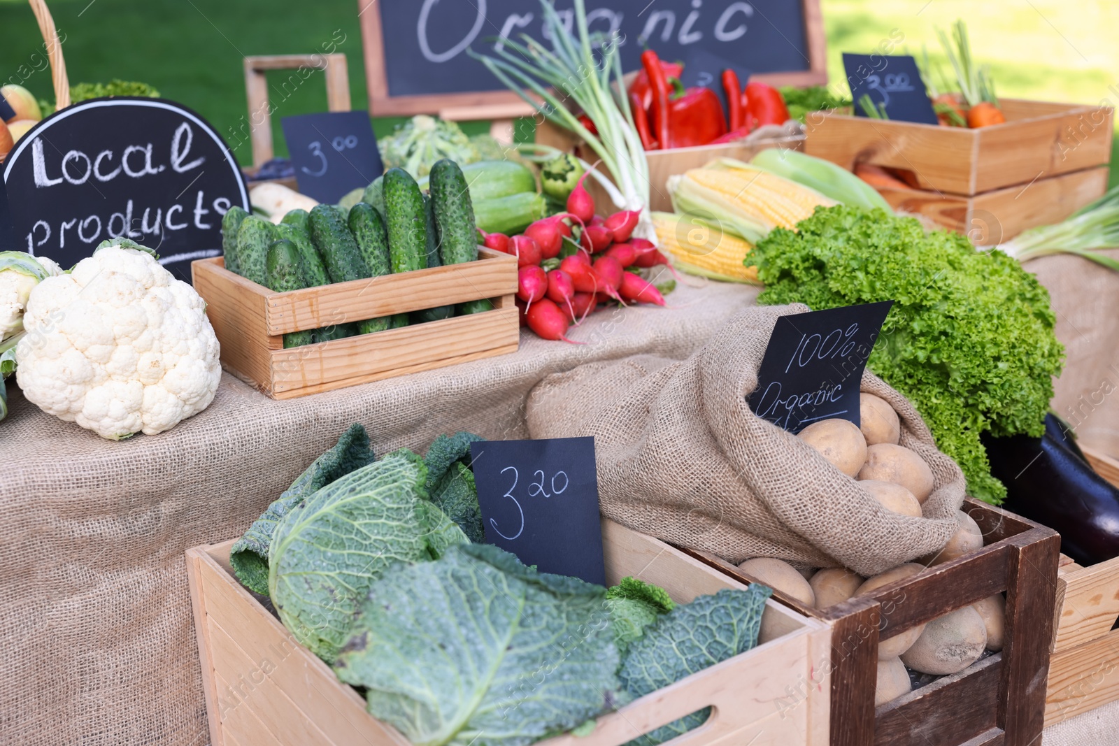 Photo of Many different vegetables and Local Products sign on stall at farmer's market, closeup