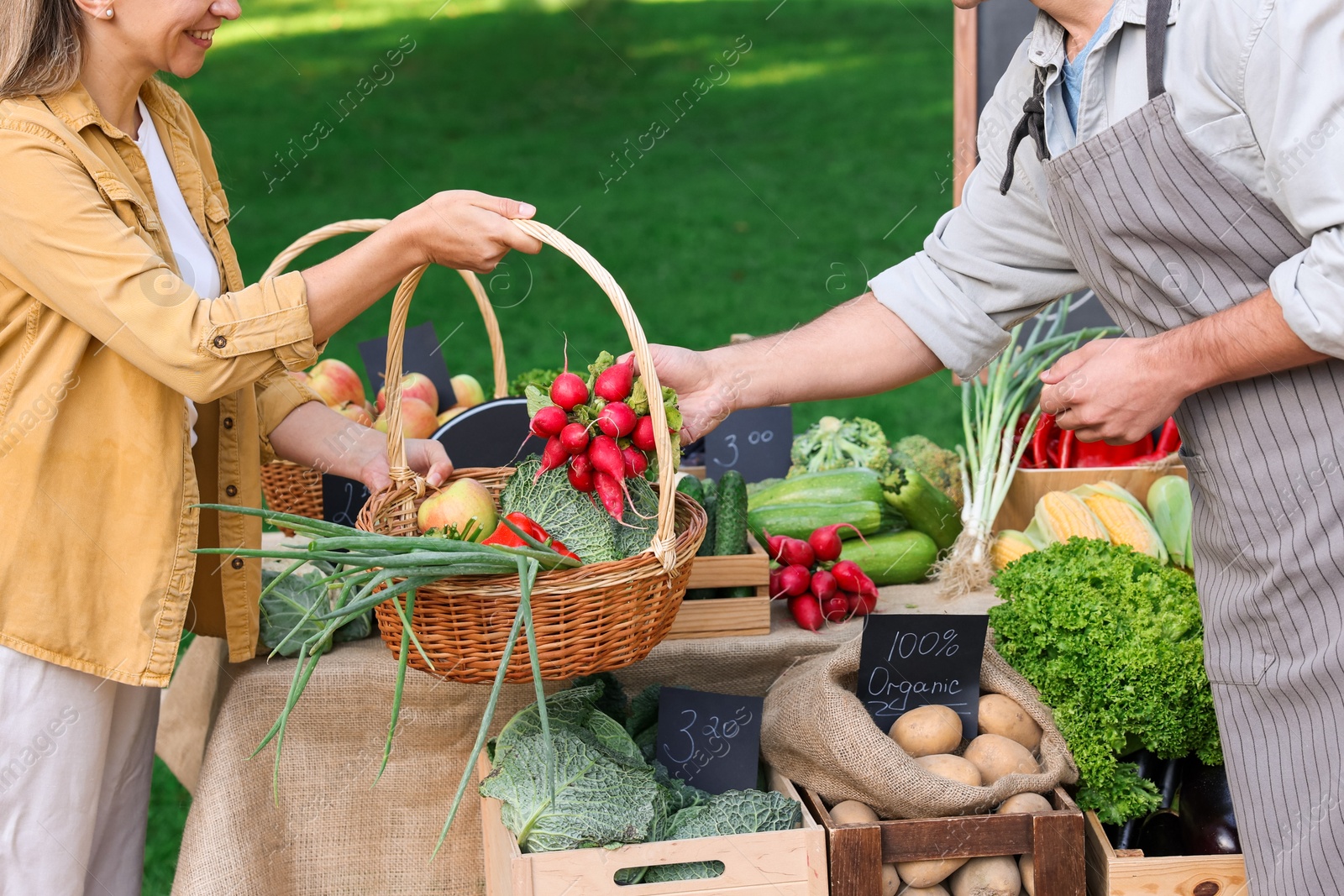 Photo of Woman choosing fresh vegetables from stall at farmer's market, closeup