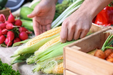 Photo of Farmer near stall with different fresh vegetables at market, closeup
