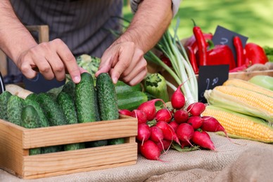 Photo of Farmer near stall with different fresh vegetables at market, closeup