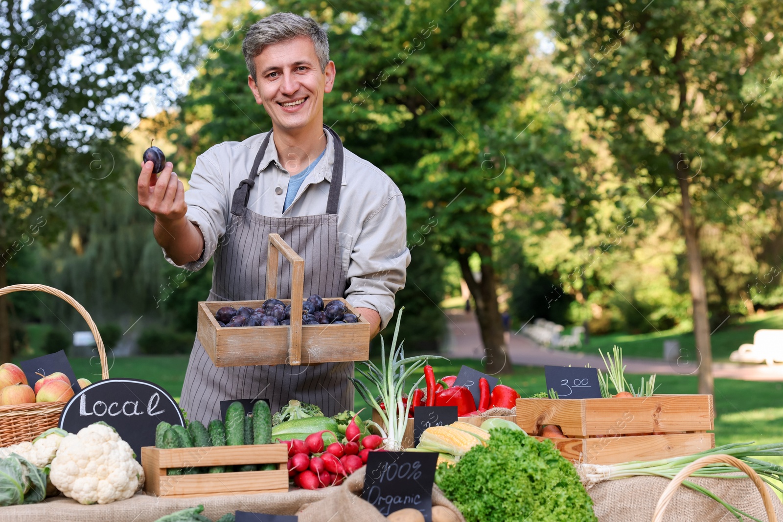 Photo of Happy farmer with basket of plums near stall with different fresh vegetables at market