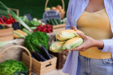 Photo of Woman choosing fresh vegetables from stall at farmer's market, closeup