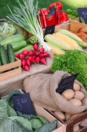 Photo of Many different vegetables on stall at farmer's market, closeup