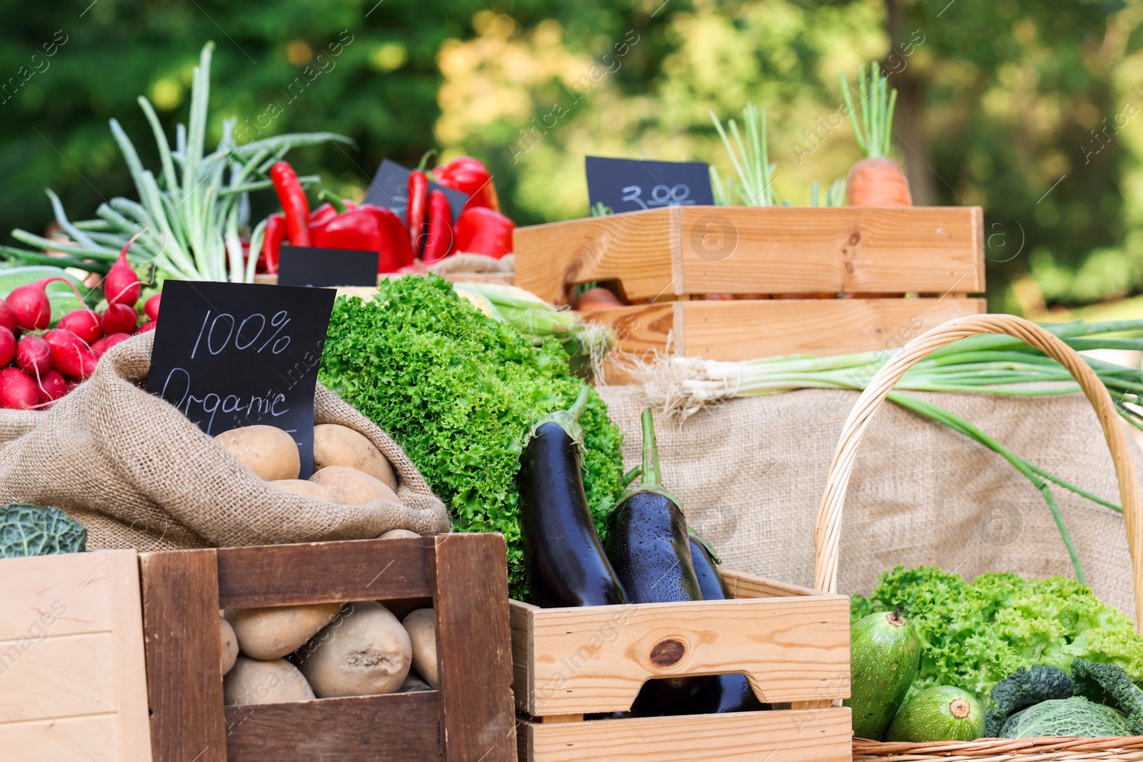 Photo of Many different vegetables on stall at farmer's market, closeup