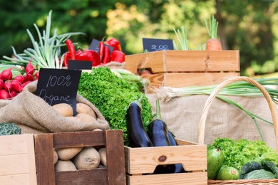 Photo of Many different vegetables on stall at farmer's market, closeup