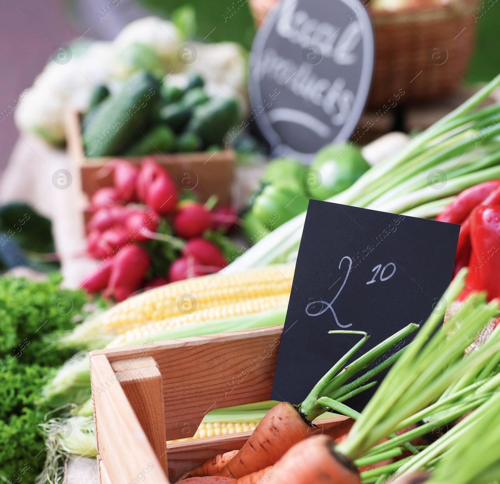 Photo of Many different vegetables on stall at farmer's market, closeup